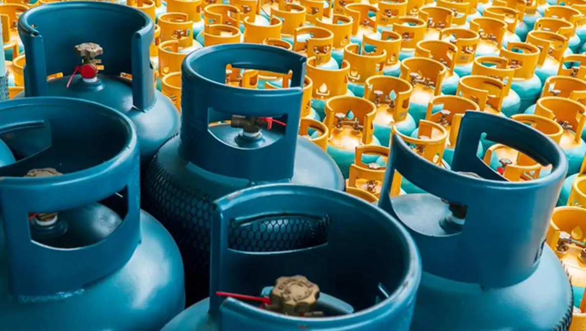 OPEC’s Pursuit of Clean Cooking for All: The Role of Liquefied Petroleum Gas