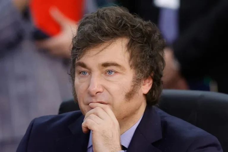 Milei Declares 206 Million Pesos in Assets: Luxury Cars, Apartment, and Dollar Savings Included. Photo: EFE.