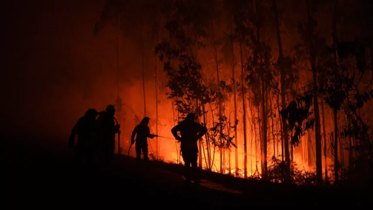 Tarifa wildfire 2025: view of the fire in La Peña, Cádiz, during massive emergency operations.
