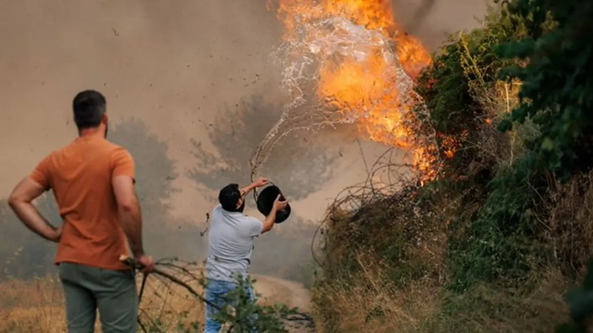 Wildfires Burn 139,000 Hectares in Portugal