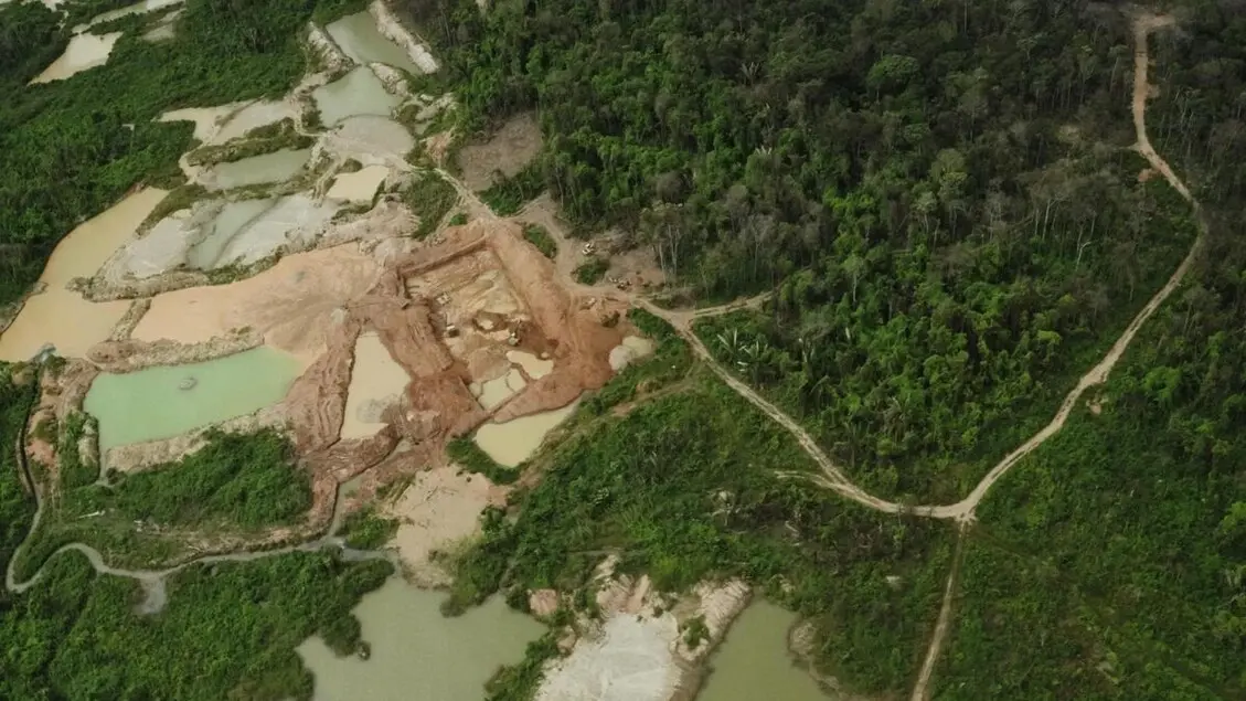 Amazonian Countries Agree to Attend COP30 in Brazil as a Regional Bloc