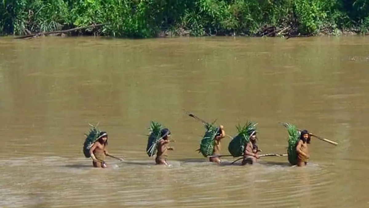 Indigenous Groups Warn of Critical Threats to Isolated Peoples on Peru-Brazil Border