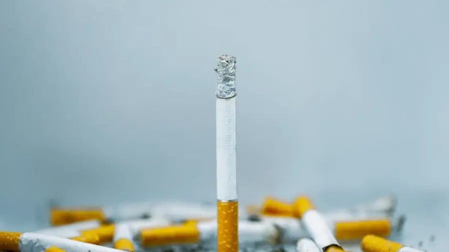 Mexico Loses \$650 Million Annually to Illicit Tobacco Trade, Study Warns
