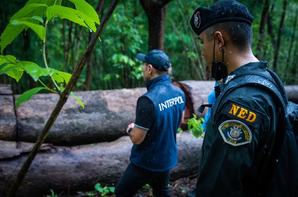 Interpol Detected Over 400 Environmental Crimes