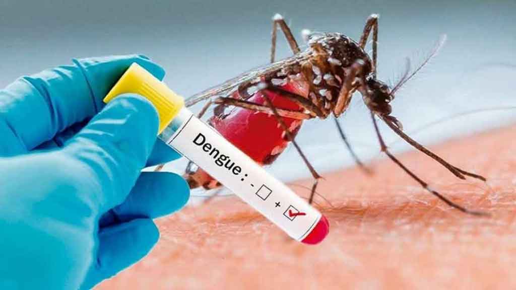 Honduras Reports 154 Dengue Cases in 2025: Health Officials Urge Vigilance Amid Rainy Season
