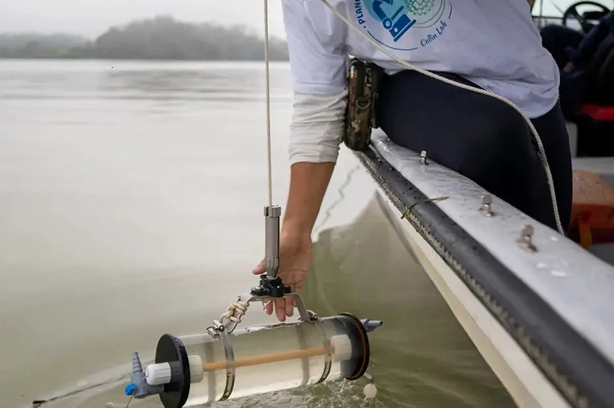 Scientists Identify New Plankton Species in the Panama Canal