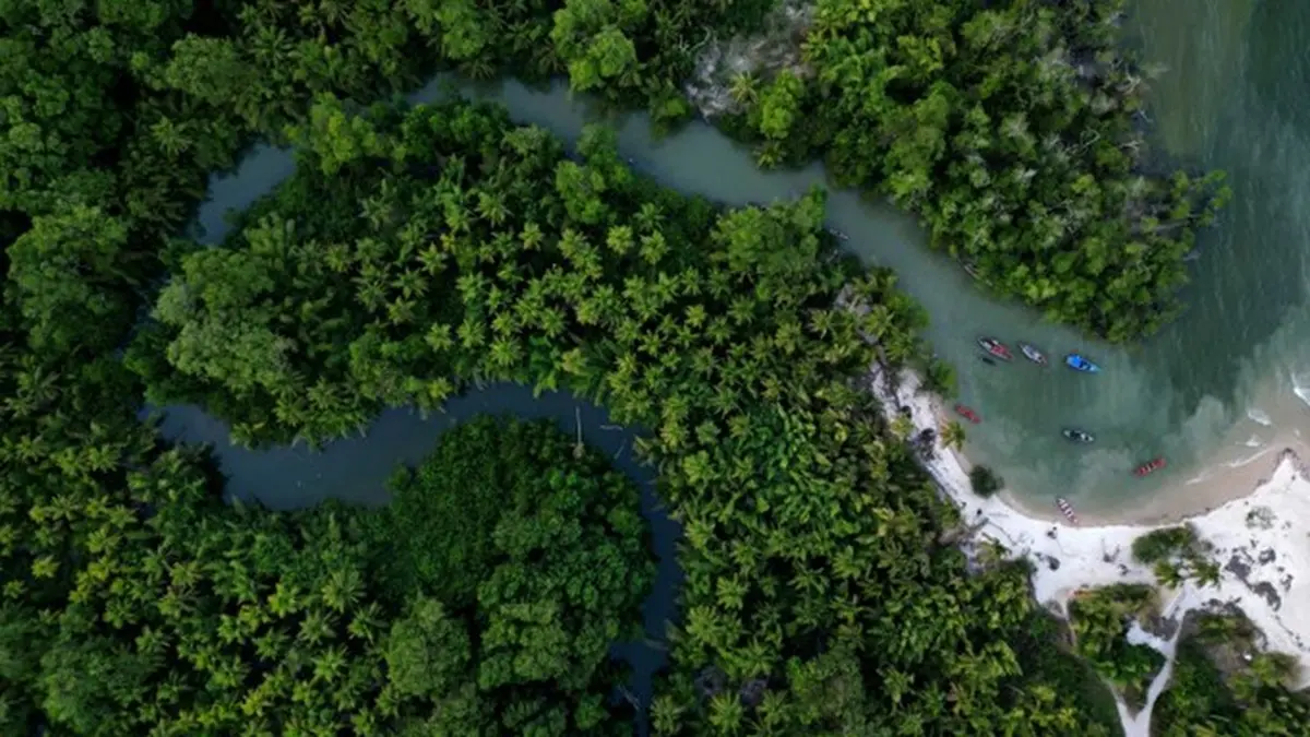 Norway and Brazil to Mobilize Finance for Forest Protection