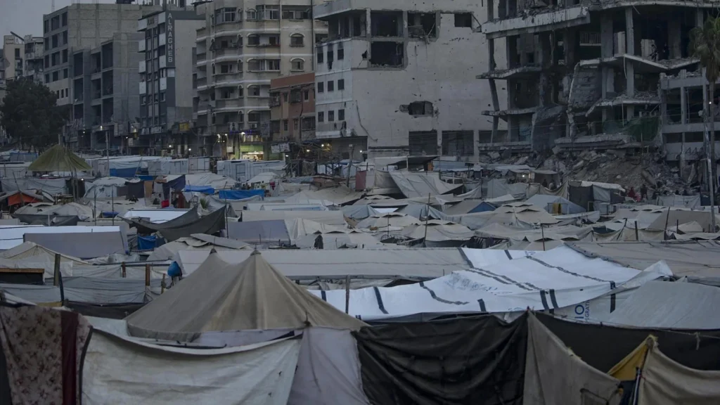 Northern Gaza on November 12th, 2025. Photo: EFE.