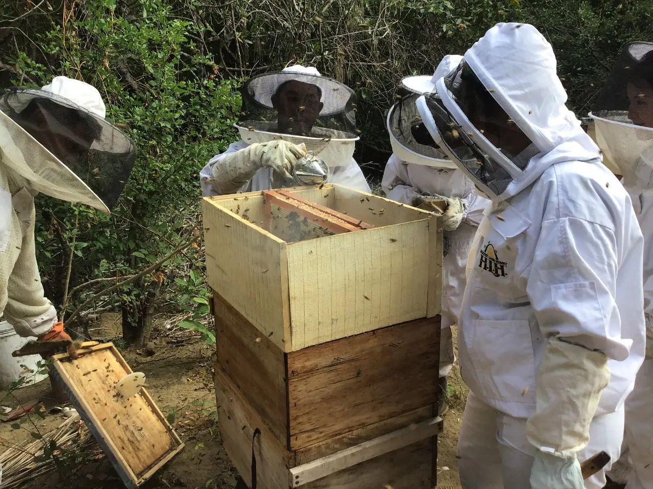 Panama and Peru Implement Climate-Smart Beekeeping Projects in Mangroves