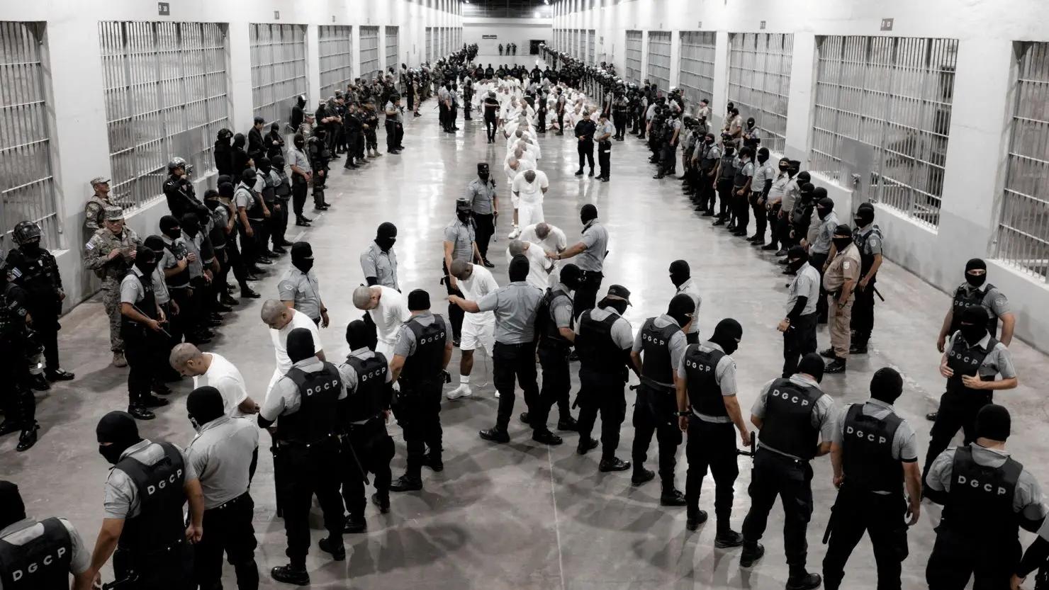 U.S. National Secretary Deported Venezuelans in Defiance of a Court Order