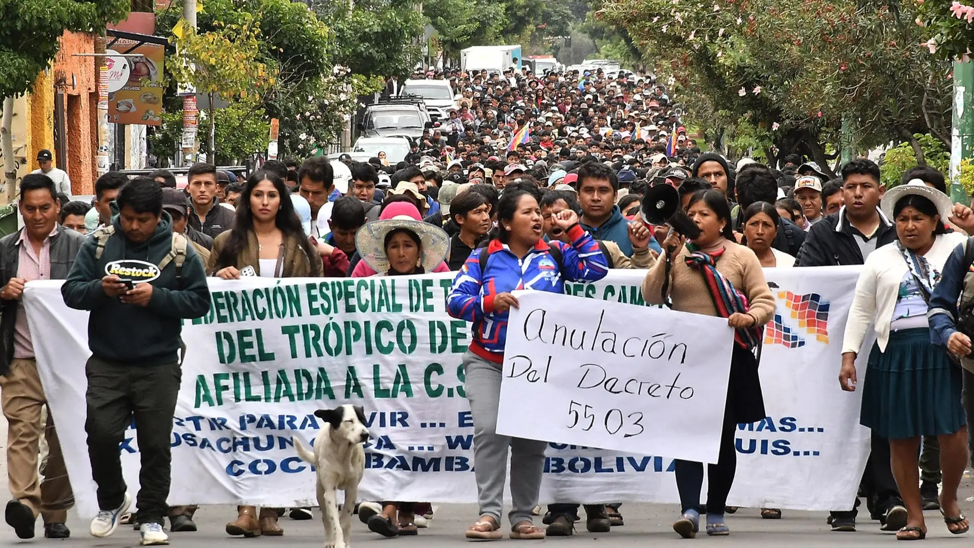 Bolivian President Paz Convenes Mayors to Discuss Emergency Decree 5503 Amid National Strike