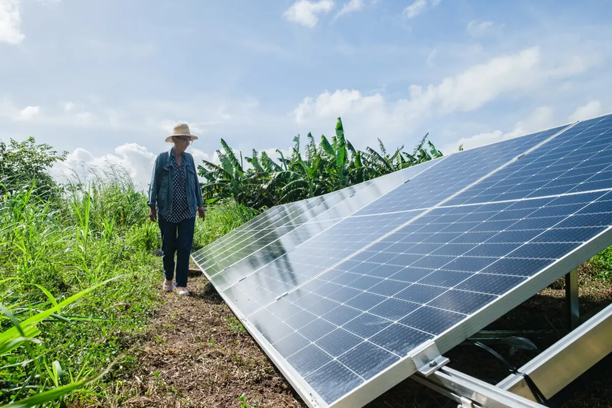 Cuba Promotes Productive Projects Despite U.S. Blockade