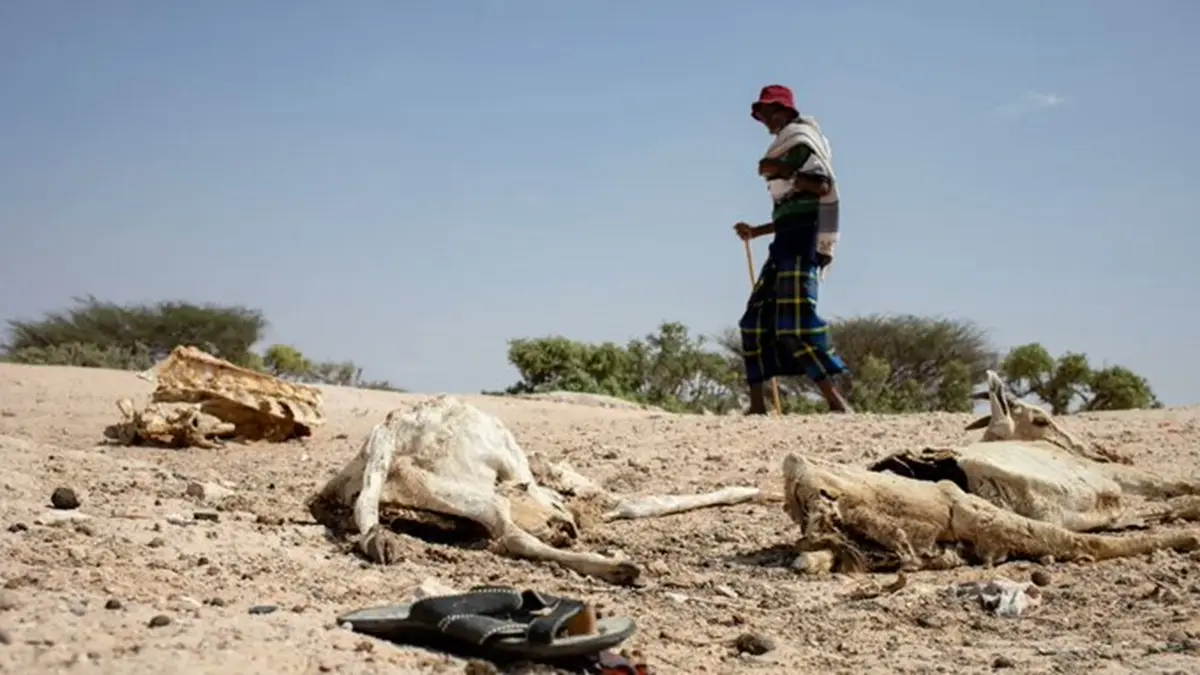 Drought Impacts Over 4.6 Million People in Somalia