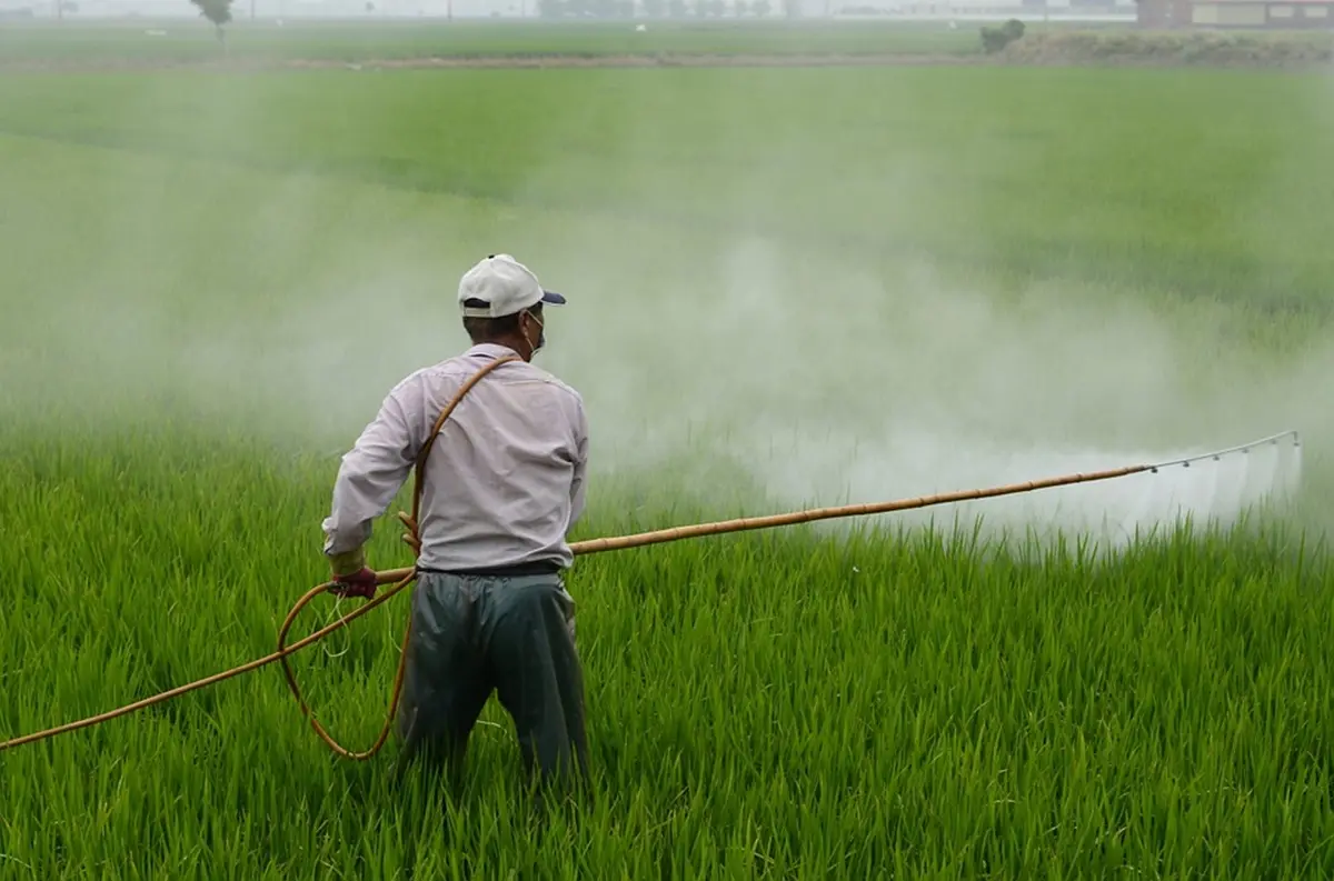 Scientists Urge Mexico to Ban Glyphosate