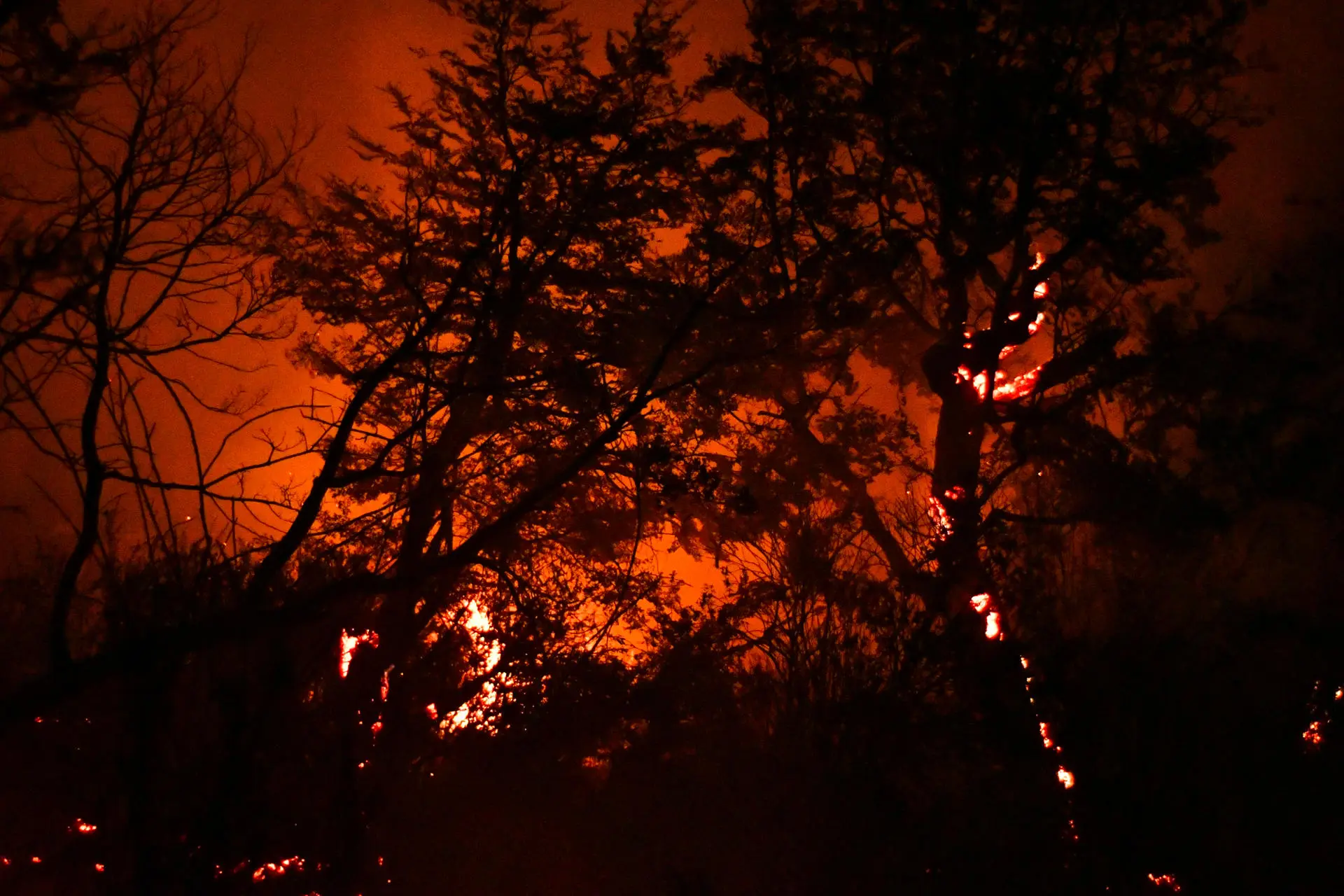 Argentina Declares Fire Emergency in 4 Southern Provinces