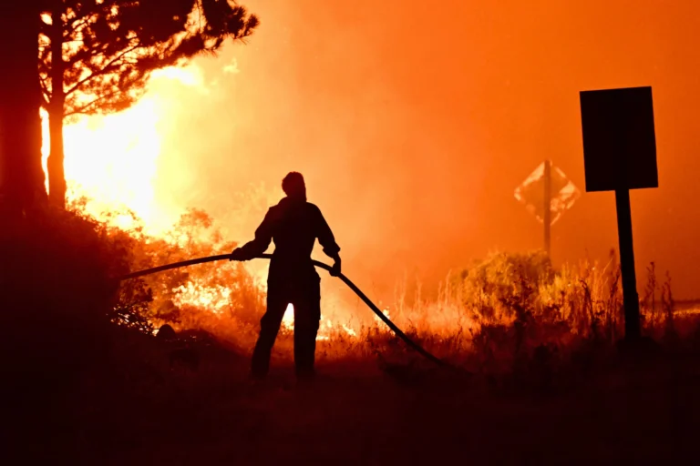 12,000 hectares on Fire: Criminalization of Mapuche Hides State Inaction on Patagonia Fires - teleSUR English