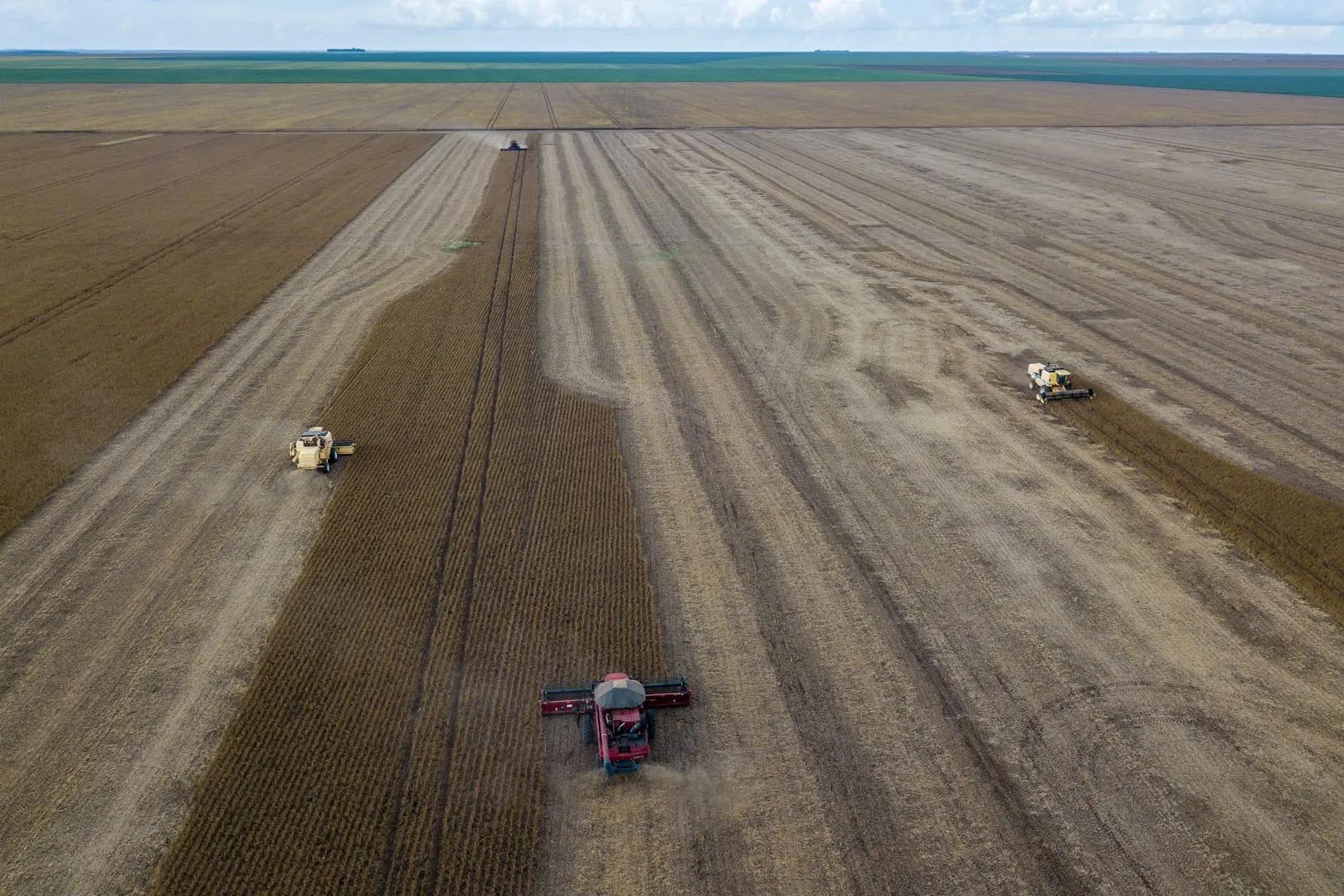 Crops To Put 9.2 Million Ha of Amazon Rainforest at Risk