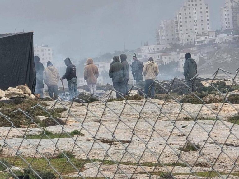 Palestine: 443 Attacks by Israeli Settlers in First Month of War ...