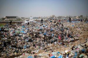 Displacement camps in Gaza face worsening pest infestations amid limited sanitation and blocked humanitarian supplies. Photo: AFP