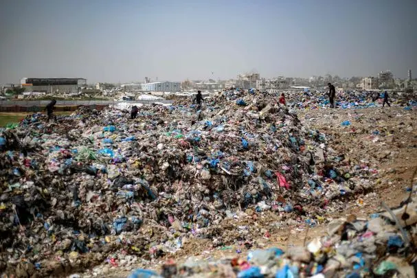 Displacement camps in Gaza face worsening pest infestations amid limited sanitation and blocked humanitarian supplies. Photo: AFP
