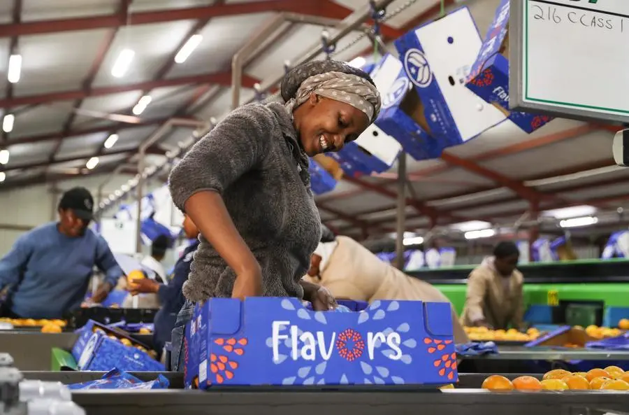 China Expands Zero-Tariff Policy to Every African Country It Maintains Diplomatic Relations With