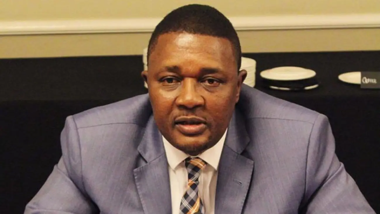 Former Zimbabwean Tourism Minister Released On Bail