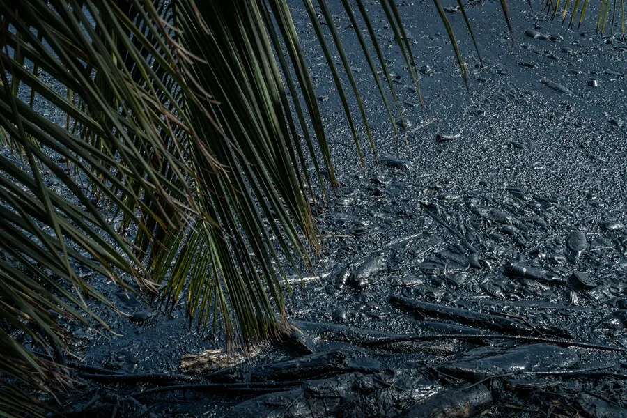 Venezuelan authorities reported environmental impacts along coastal and marine areas in the Gulf of Paria following an oil spill originating in Trinidad and Tobago. Photo: EFE