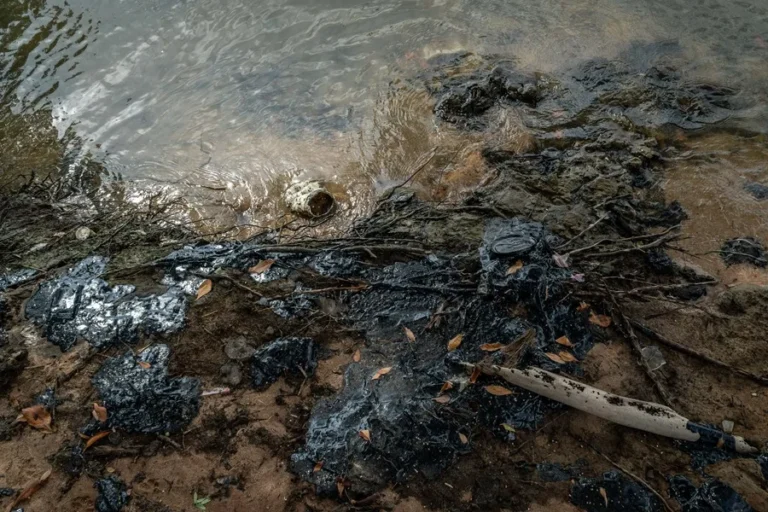 Trinidad and Tobago oil spill, Venezuela environmental concerns, Gulf of Paria pollution, Roodal Moonilal, Yván Gil, marine ecosystems
