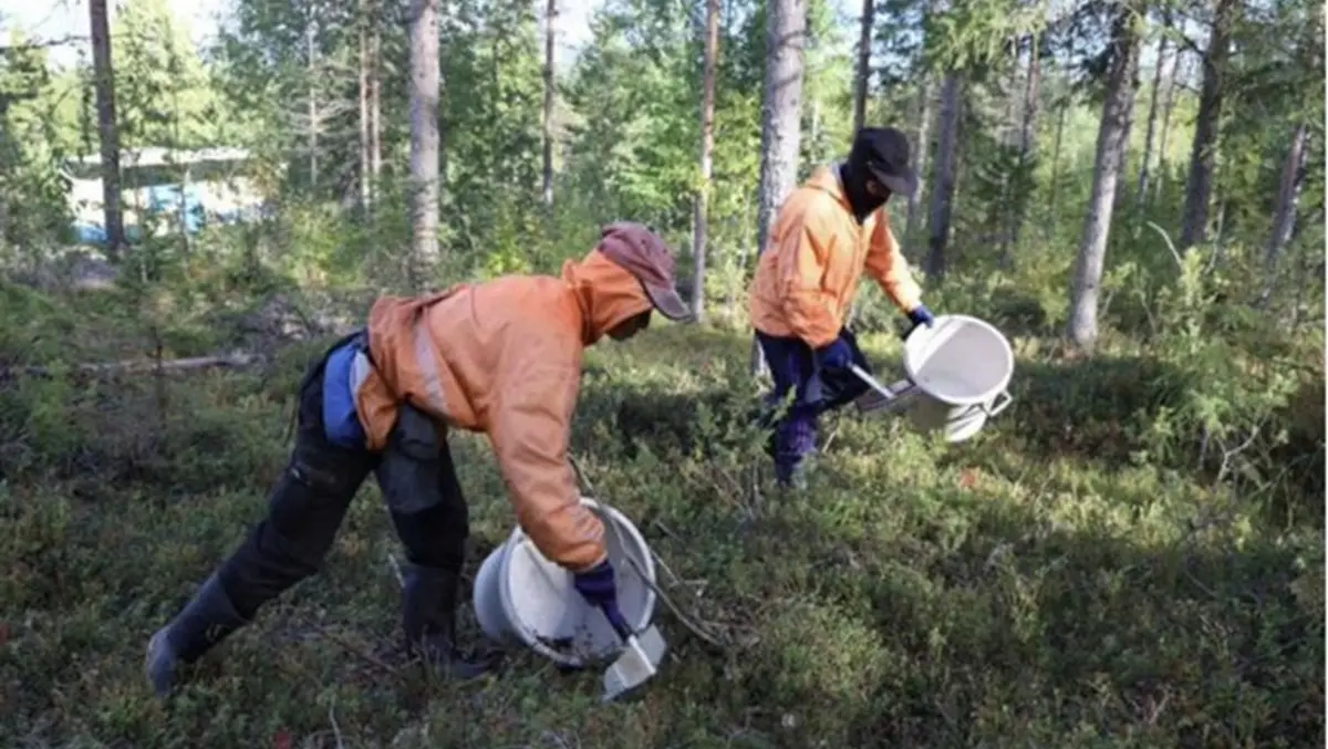 Finnish Court Sentences Two in Country’s Largest Human Trafficking Case