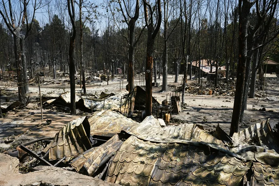 Charred landscape in the Iruelas Valley Natural Park, razed by the Burgohondo wildfire in Ávila. Photo: EFE.