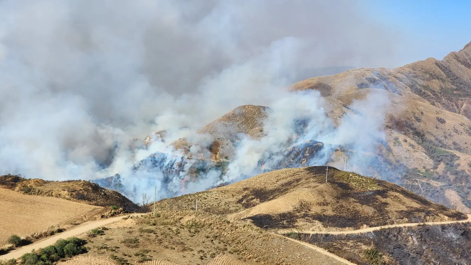 Bolivia Declares Disaster as Tarija Wildfires Spread