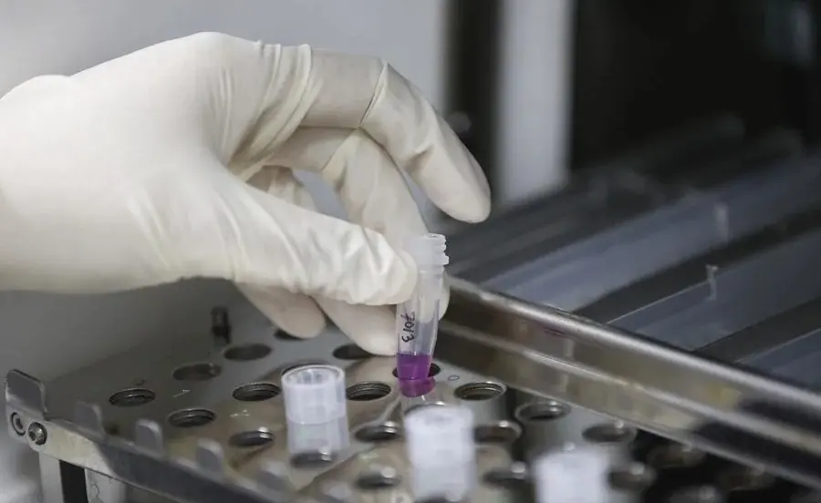 Venezuelan Health Authorities Report Three Fatalities from Hantavirus