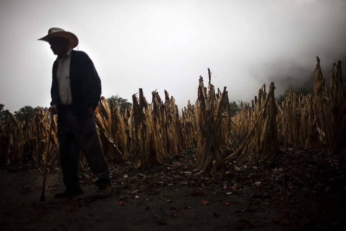 Guatemala on Alert Due to Water Shortage and Possible Threat to Food Security