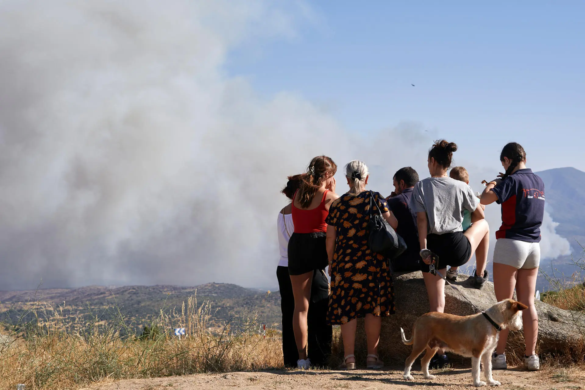 Spain: 73,000 Evacuees and 25,000 Hectares of Forest Burned