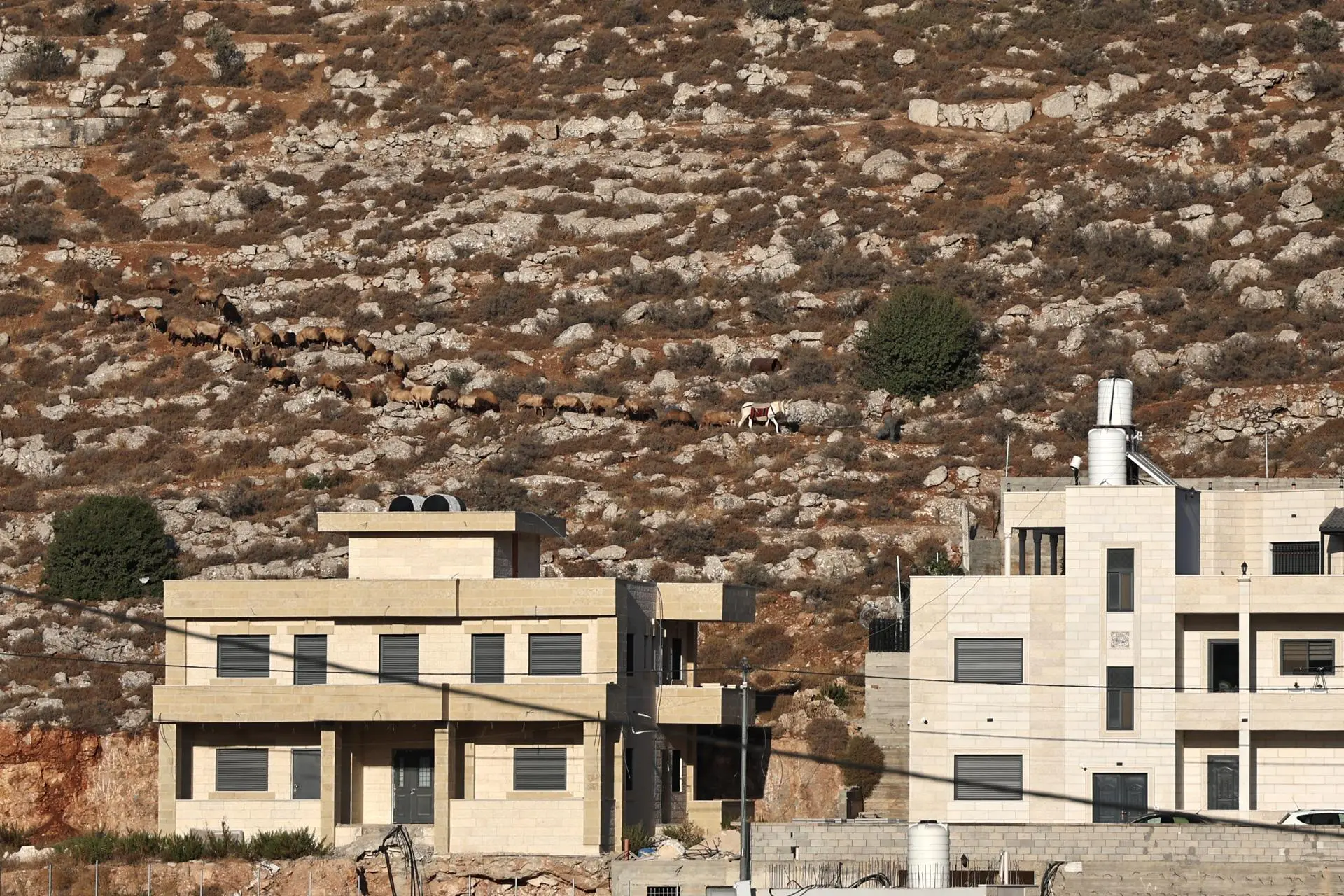 Israeli Finance Minister Bezalel Smotrich confirmed the expansion as part of his government program; while the UN classifies these buildings as illegal since 1967. Photo: EFE.