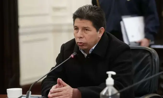 Pedro Castillo, Peru, habeas corpus, Walter Ayala, organized crime legislation, left-wing coalition, human rights, Congress, IDL