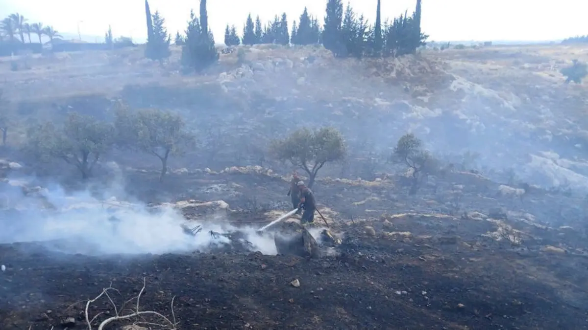 Israeli Forces Destroy 30-40% of Forest Land in Southern Lebanon Arson Campaign