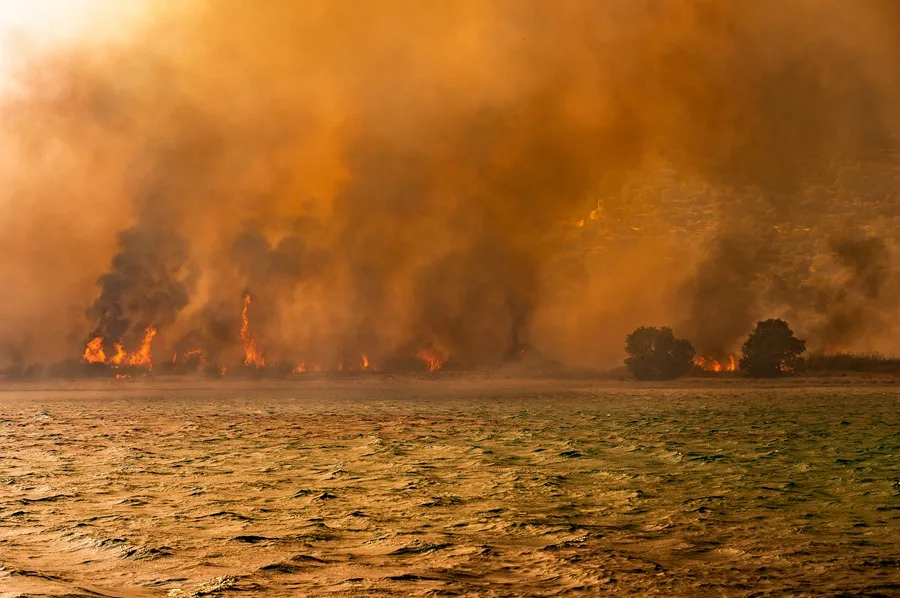 The current climate emergency has activated emergency protocols nationwide. Photo: EFE.