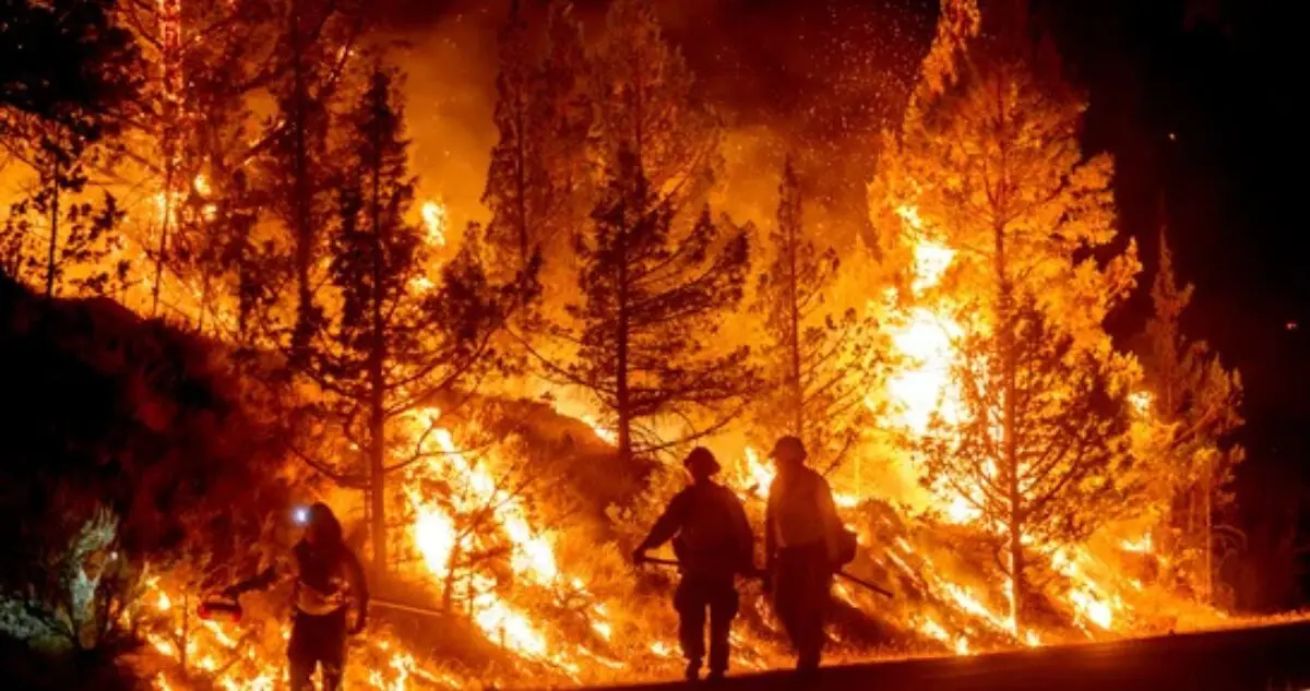 U.S. Raises Maximum Alert Level as 94 Wildfires Spread