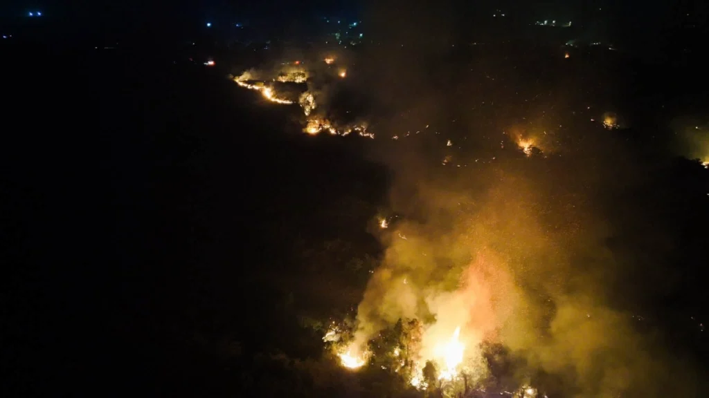 Forest fire in a rural area of the municipality of Tolima, published on the government's social media on August 21. Photo: X/ @gobertolima