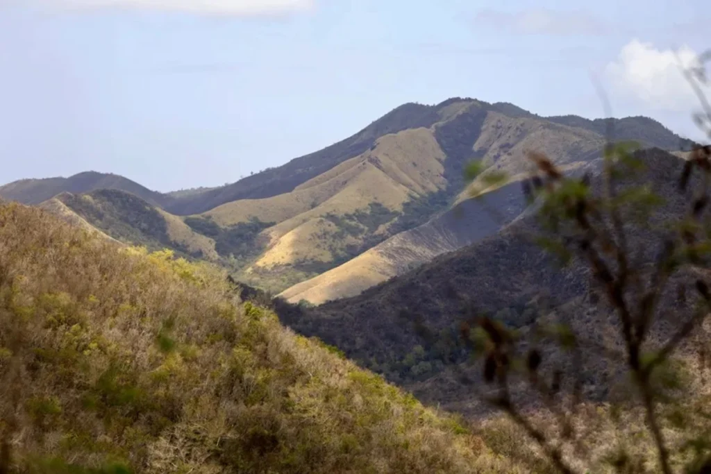 The image shows the effects of the drought in Cayey, Puerto Rico. Photo: EFE.