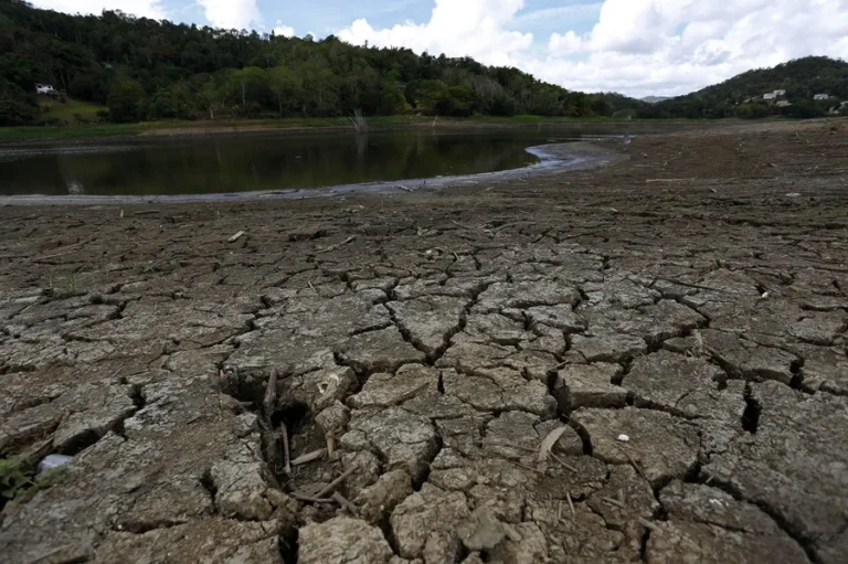 Danube Drought: 40°C Heat Triggers Alarming River Lows in Europe