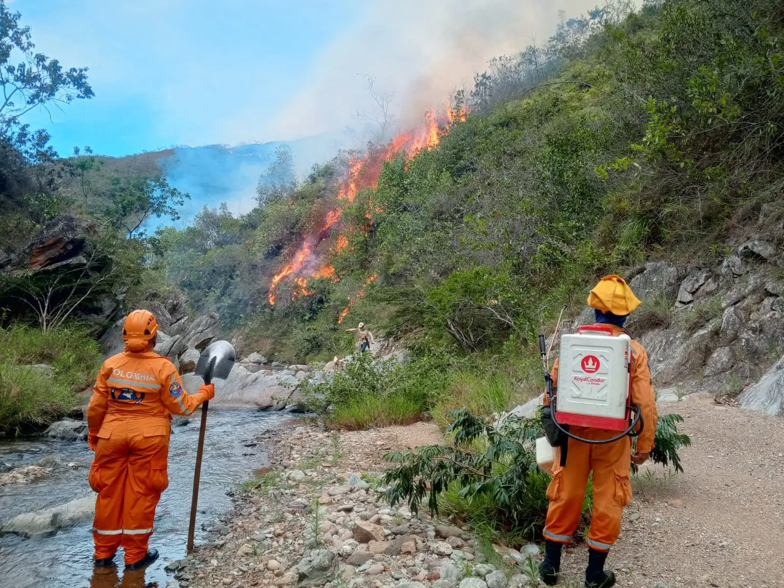Colombia: Forest Fire Consumes More Than 3,000 Hectares of Vegetation