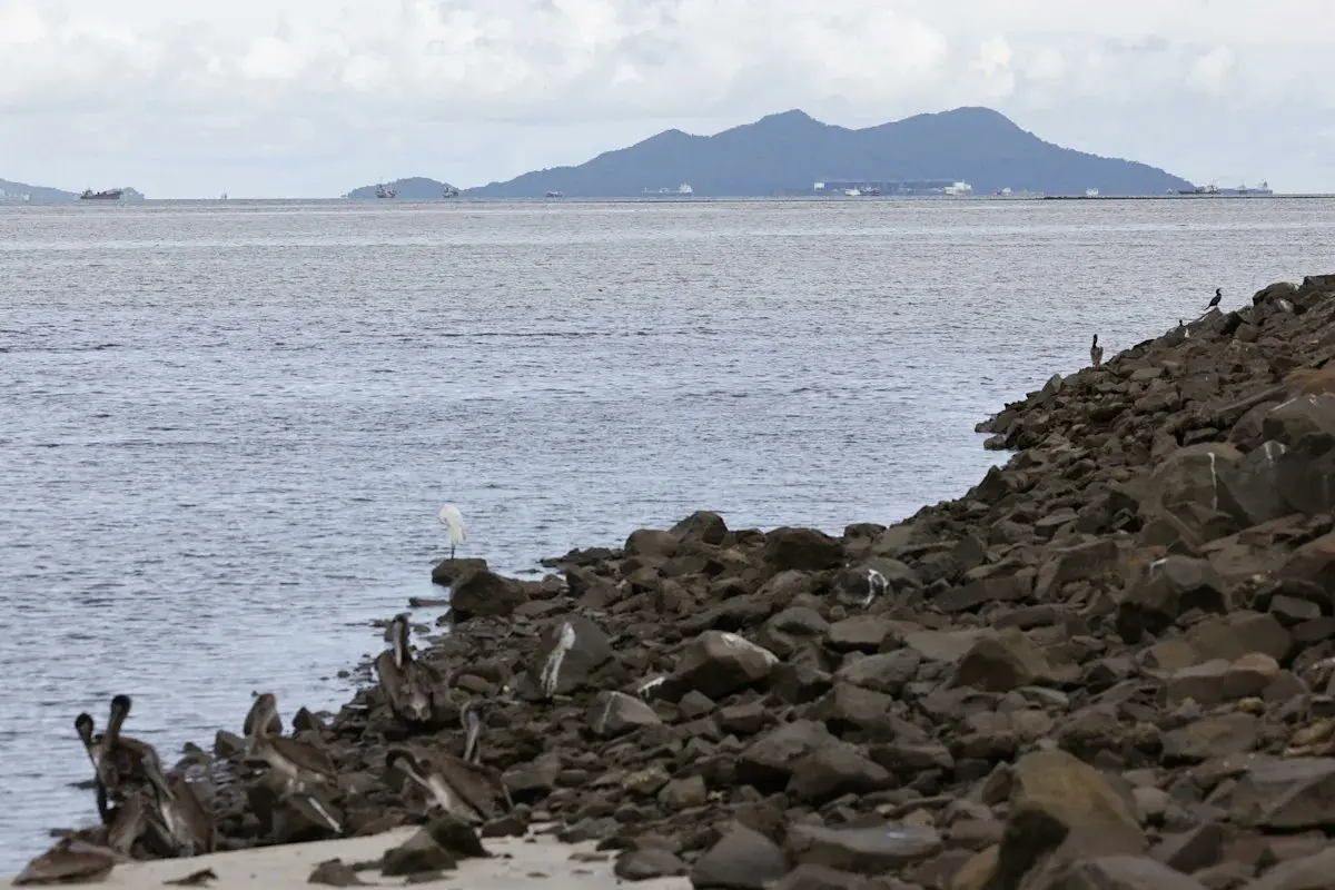 Panama Hosts the 2026 LATAM Congress of Marine Sciences