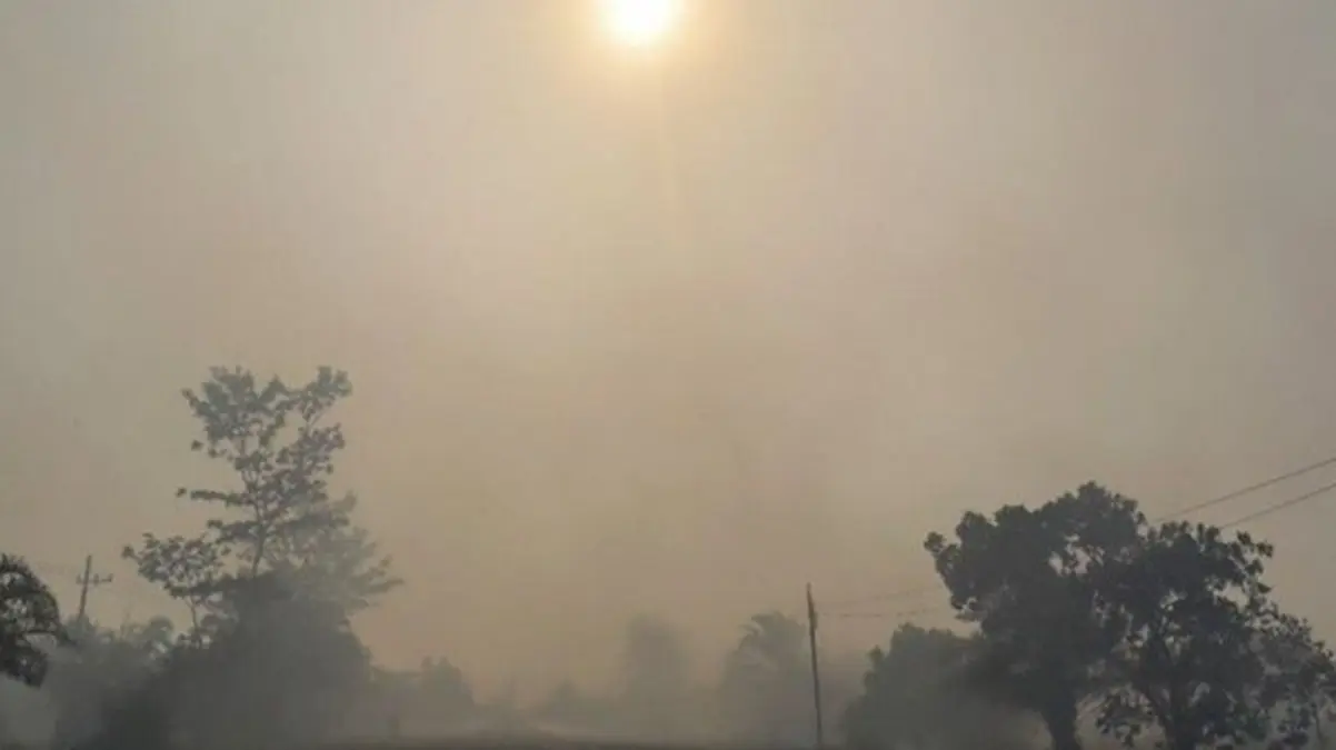 Aerosols and Surface Ozone Negatively Impact Human Health: WMO