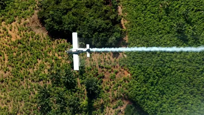 Colombian Judge Halts Government Aerial Spraying Plan In Putumayo