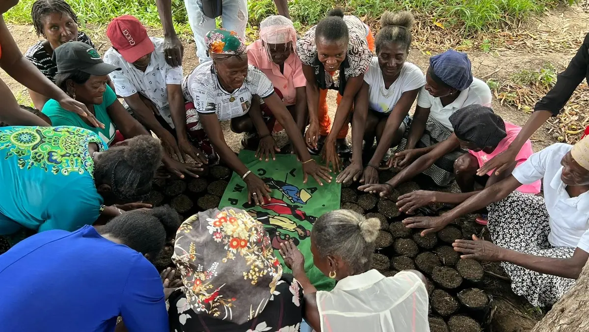 Haitian Peasant Movement Marks 40 Years Of Resistance Amid Deepening Crisis