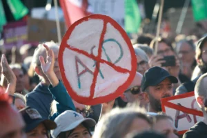 Protesters demonstrate against the far-right AfD at Brandenburg Gate in Berlin, Germany.