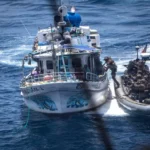 Ecuador fishermen released after U.S. forces destroyed the Montecristi and Don Rufo fishing boats in Pacific anti-drug operations.