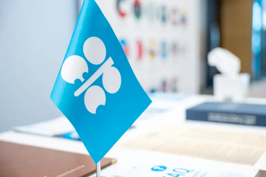 OPEC+ Decides To Keep Its Oil Supply Frozen in November